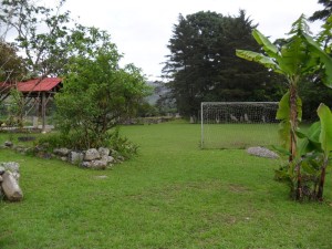 soccer field